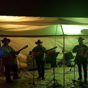 Meet your Posher, Mario